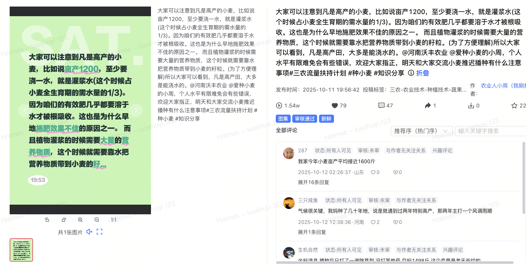 飞书图片
